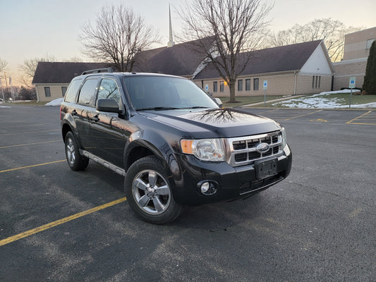 2009 Ford Escape XLT FWD
